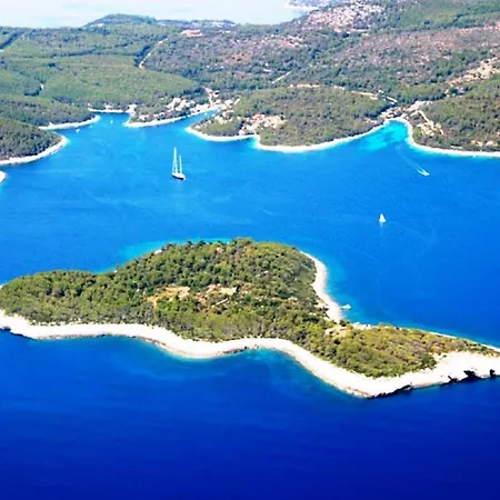 Holiday Volat